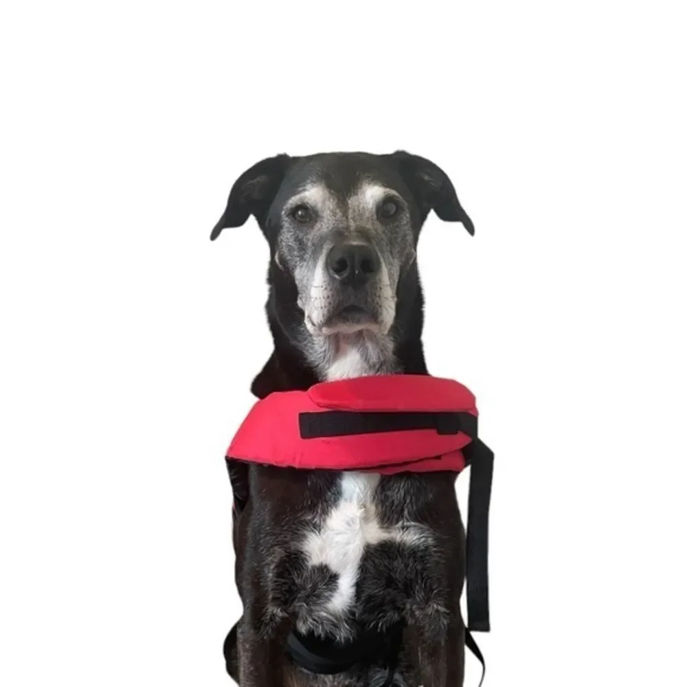 Zippy Paws‎ Dog XL Swim Vest